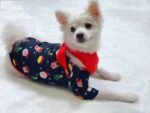 Noël | Pyjamas Assortis Famille pour des Moments Confortables et Magiques - Image 6