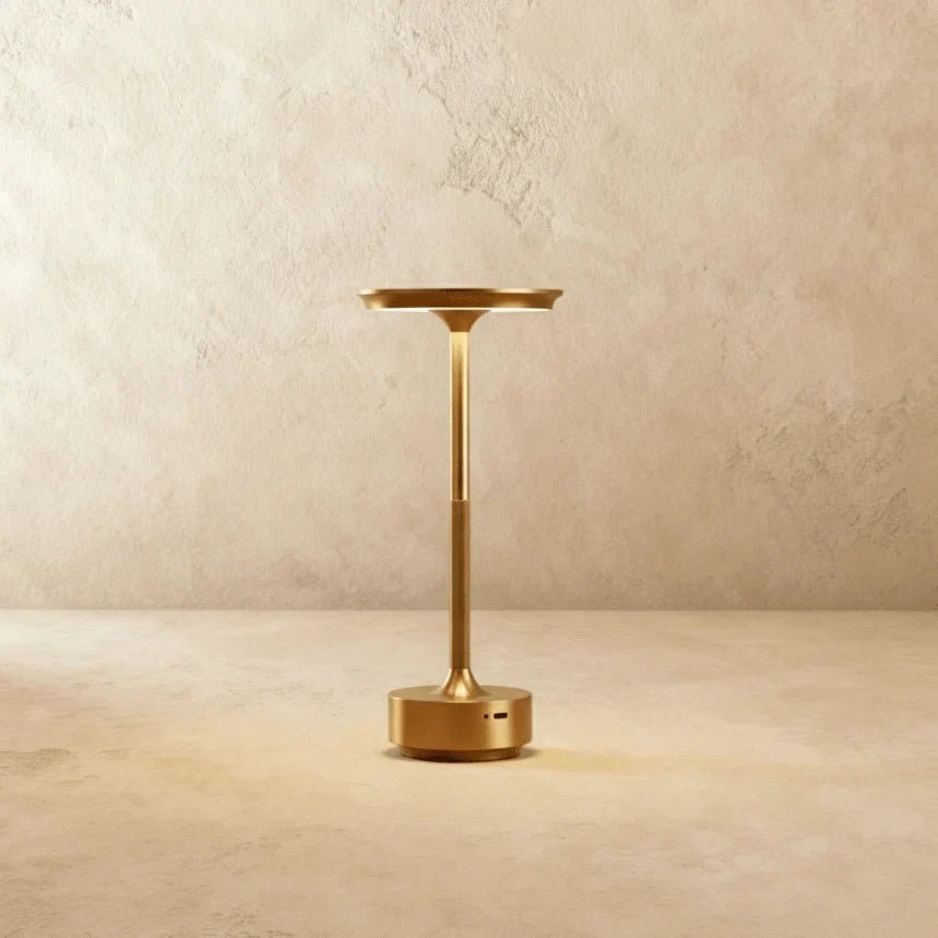Modern Iron Art Table Lamp LED Light With Acrylic Shade – USB Rechargeable - Image 2